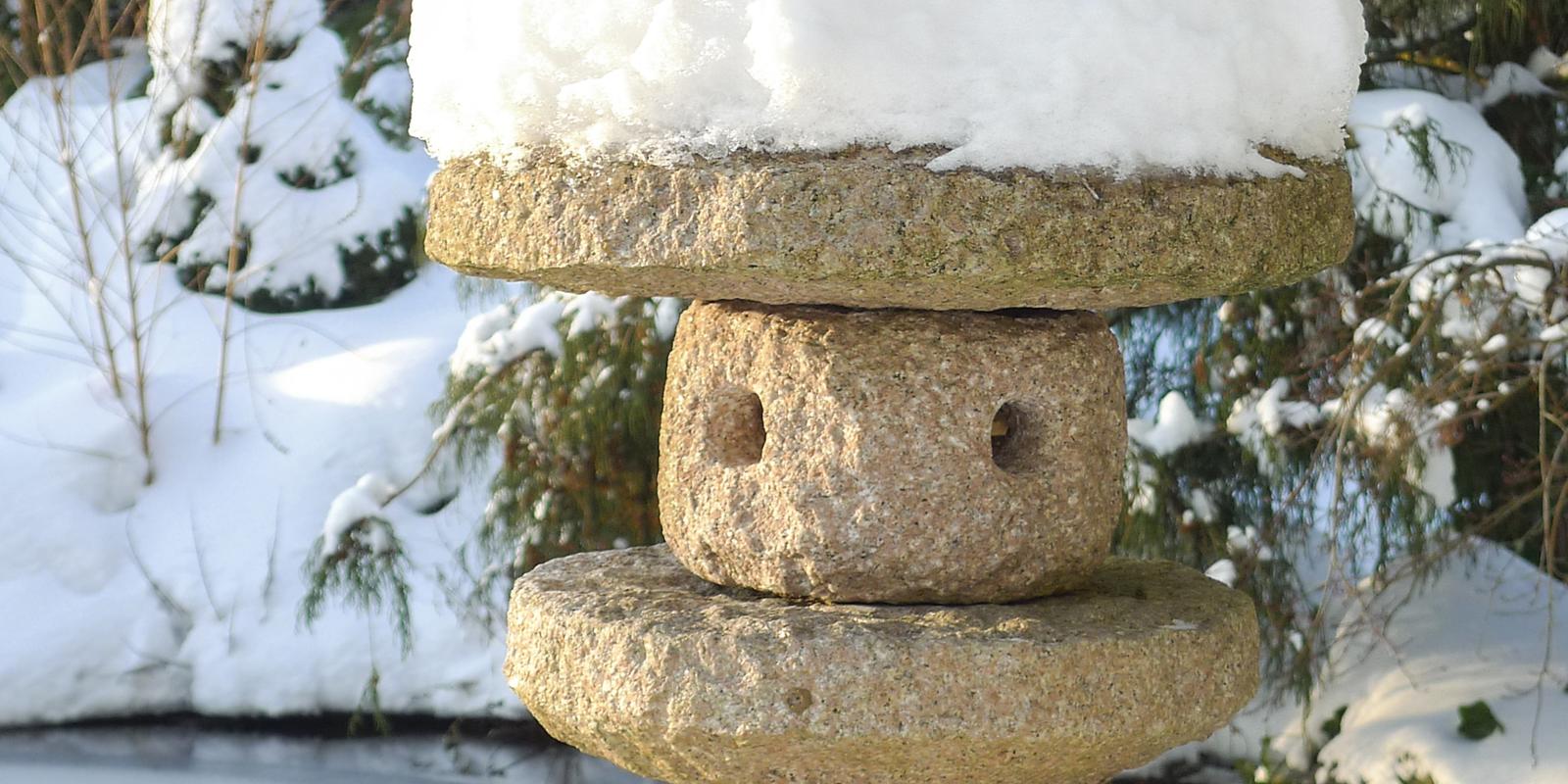 winterklaar maken tuin hovenier